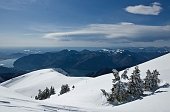 15-NEVE SUI PINI IN DIREZIONE DEL LAGO D'ISEO